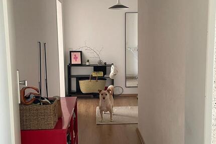 Wohnung zu vermieten zimmer