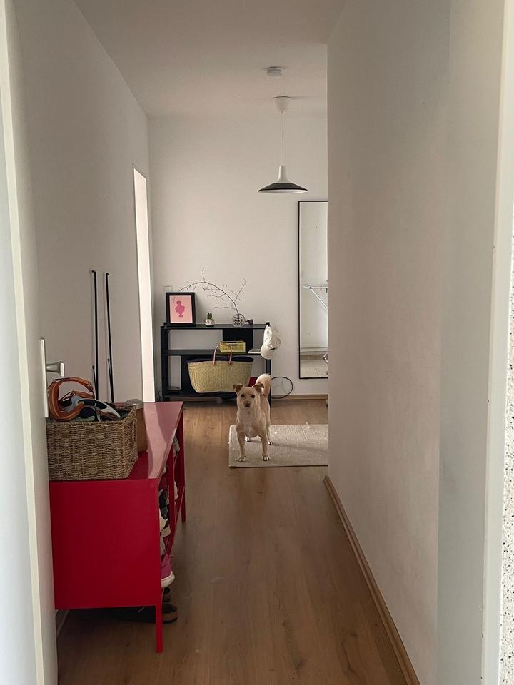 Wohnung zu vermieten zimmer