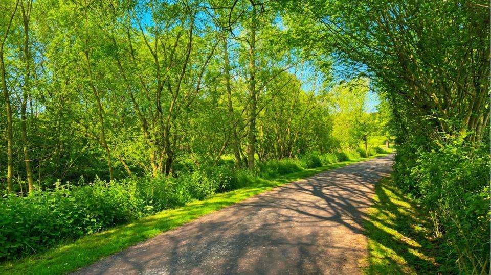 Dachgeschoßwohnung Hamburg Wandsbek - 2 Zimmer, 55 m&sup2;, 1.101&euro; | Angebot:26005677