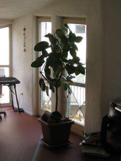 Stadtwohnung- Über 3 Etagen -Schweinfurter Innenstadt--138m² + Dachterasse. zimmer