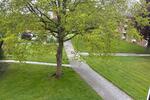 Etagenwohnung Wilhelmshaven Aldenburg - 3 Zimmer, 62 m&sup2;, 390&euro; | Angebot:26420455