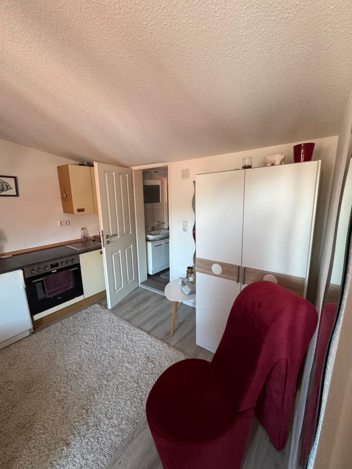 1-Zimmer Wohnung in 25361 Krempe zu vermieten