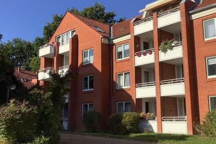 Senioren aufgepasst! renovierte 2-Zimmer-Erdgeschoss Wohnung zimmer