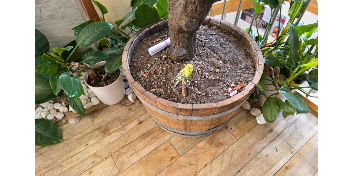 Gewerbeobjekt Brandenburg an der Havel - 980&euro; | Angebot:26504505