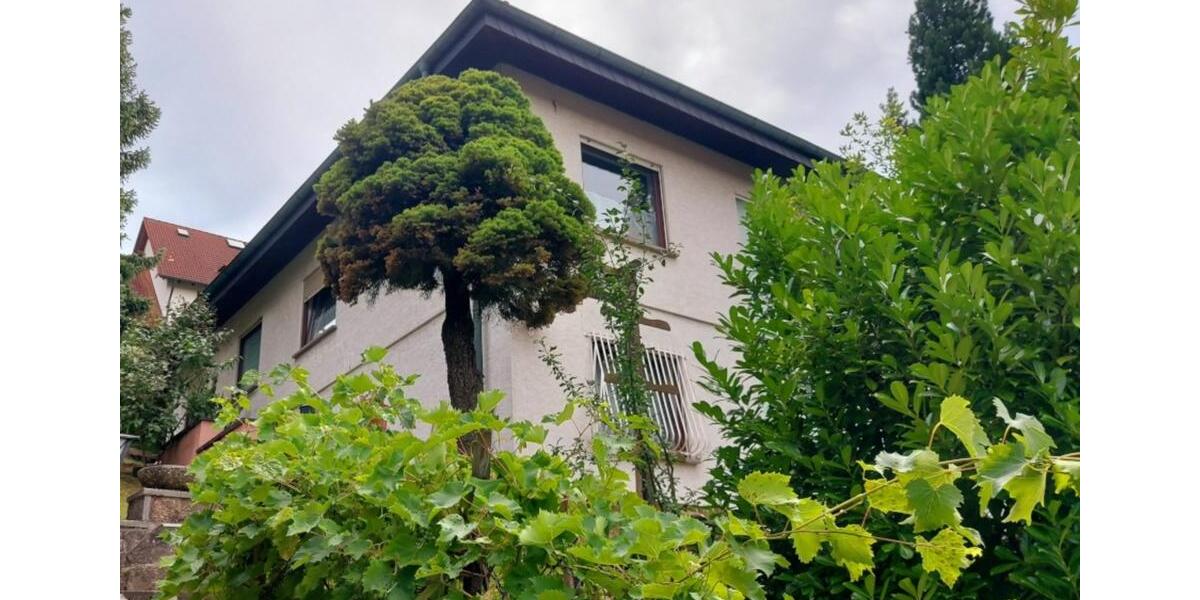 Etagenwohnung Würzburg - 1 Zimmer, 90 m&sup2;, 460&euro; | Angebot:24874155