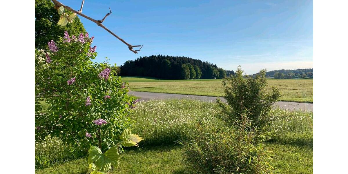 Maisonettenwohnung Eggstätt - 2 Zimmer, 137 m&sup2;, 1.550&euro; | Angebot:24584994