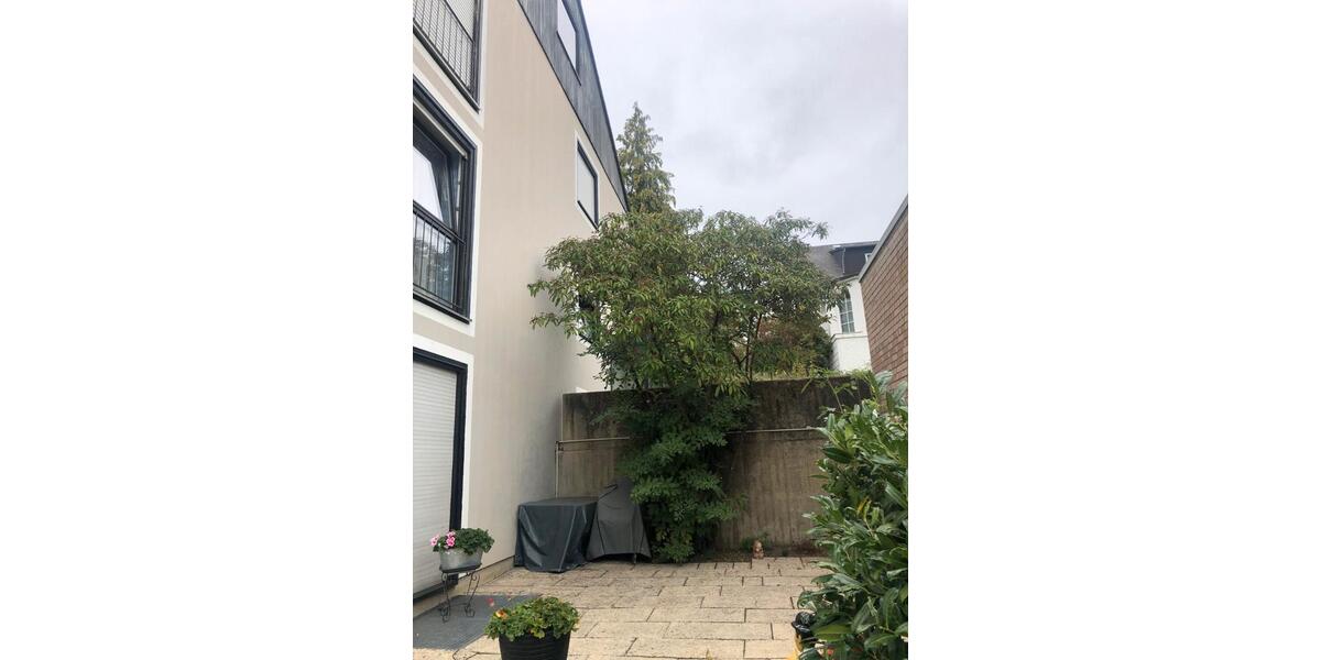 Erdgeschoßwohnung Manderscheid - 2 Zimmer, 75 m&sup2;, 600&euro; | Angebot:25964261