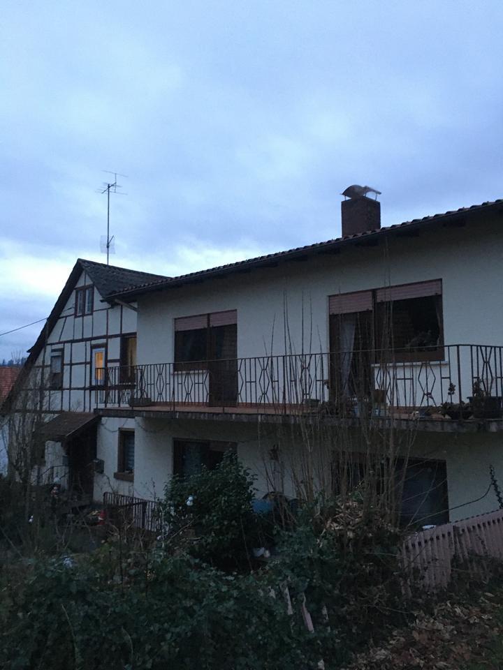 Vier Zimmer Wohnung zu vermieten