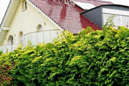 Haus Lohfelden - 5 Zimmer, 245 m&sup2;, 3.000&euro; | Angebot:26698564