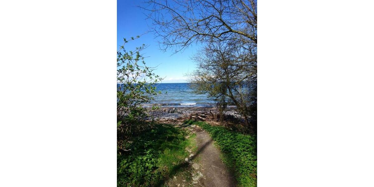 Erdgeschoßwohnung Rostock Hansaviertel - 1 Zimmer, 12 m&sup2;, 450&euro; | Angebot:25022999