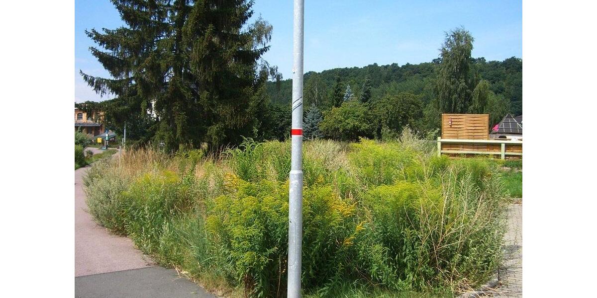 Gewerbeobjekt Nossen - 499&euro; | Angebot:26540839