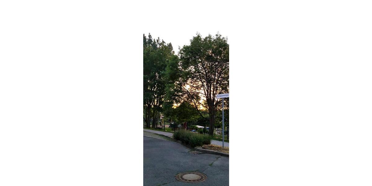 Etagenwohnung Plauen - 1 Zimmer, 38 m&sup2;, 180&euro; | Angebot:9038746