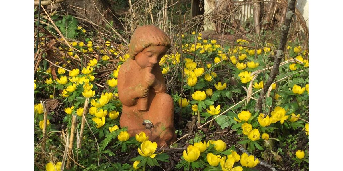 Wohnen auf Zeit Ascheffel - 2 Zimmer, 47 m&sup2;, 890&euro; | Angebot:25282519