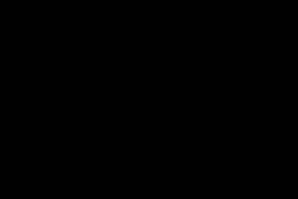 Wg Zimmer Neckarsulm zimmer