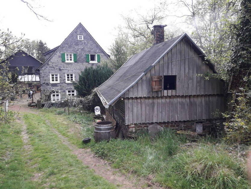 Lichtdurchflutete Wohnung im Grünen