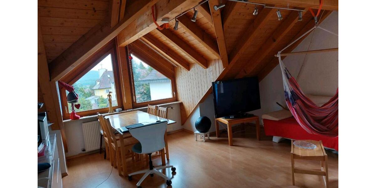 Dachgeschoßwohnung Klettgau - 3 Zimmer, 53 m&sup2;, 490&euro; | Angebot:26532896