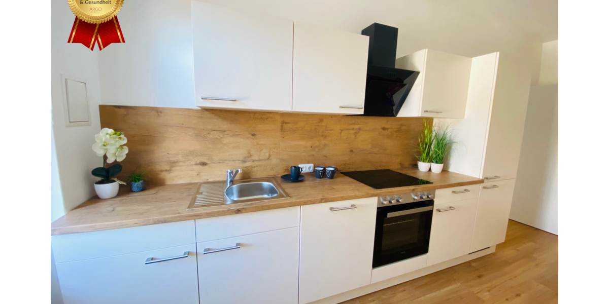 Wohnung zum Mieten in Dresden 1.699 € 146.62 m² 4 zimmer