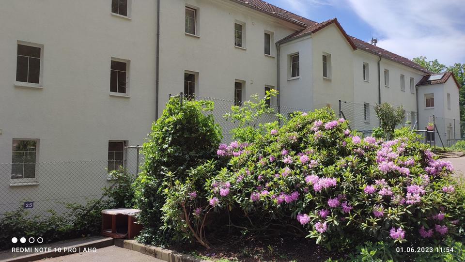 Erdgeschoßwohnung Penig - 3 Zimmer, 55 m&sup2;, 332&euro; | Angebot:14521667