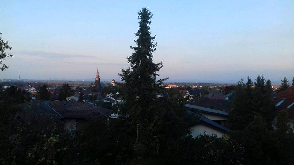 Einfamilienhaus Grünstadt - 7 Zimmer, 161 m&sup2;, 1.700&euro; | Angebot:26580273
