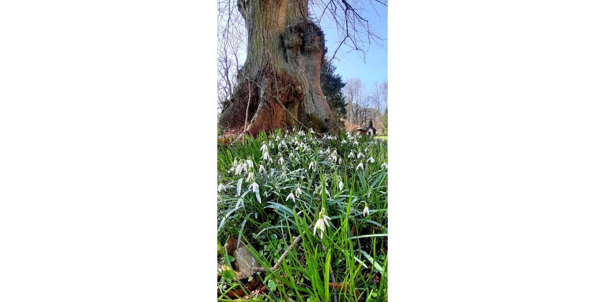 Etagenwohnung Gransebieth - 1 Zimmer, 40 m&sup2;, 850&euro; | Angebot:25273340