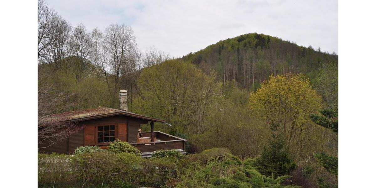 Harz Ferienhaus Blockhaus 6 Pers +Hund 2 Kamine gr Grundst. süd H 4 zimmer