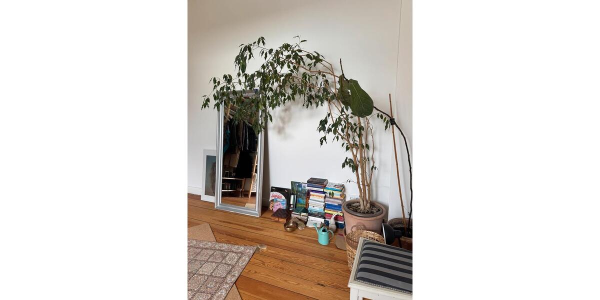 Wohnen auf Zeit Kiel - 20 Zimmer, 100 m&sup2;, 550&euro; | Angebot:26640712