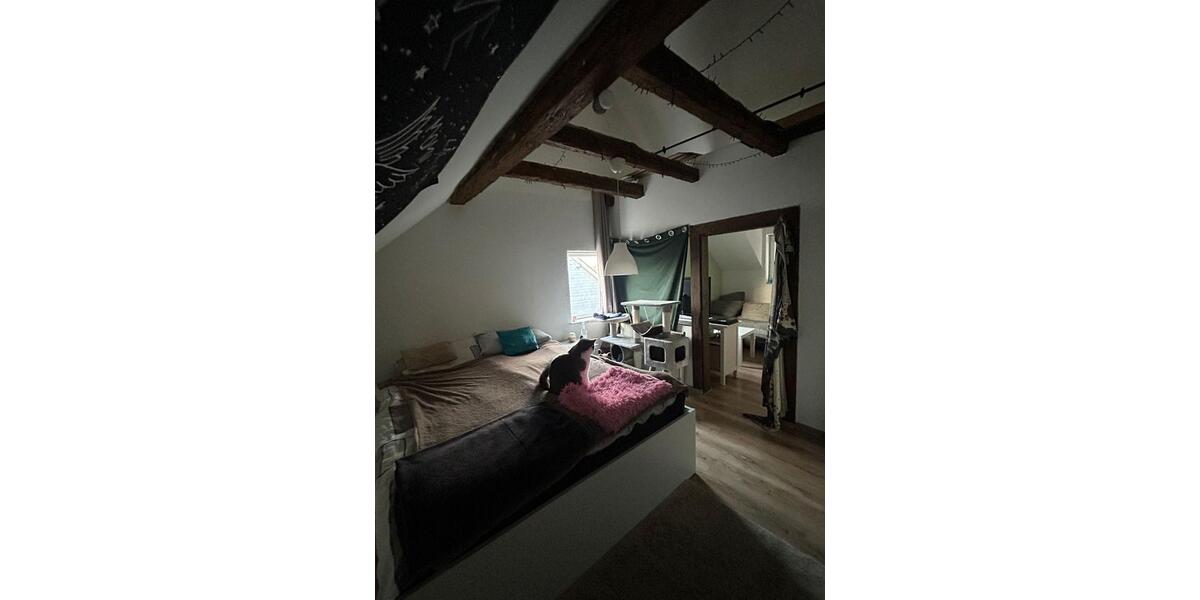 Etagenwohnung Haiger - 1.5 Zimmer, 40 m&sup2;, 450&euro; | Angebot:26268508