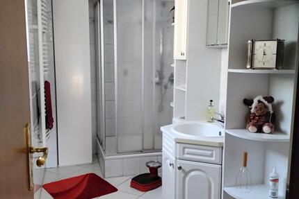 Wohnen auf Zeit Eppertshausen - 1 Zimmer, 80 m&sup2;, 350&euro; | Angebot:26215526