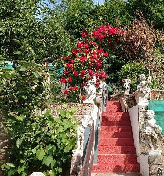 Wohnen auf Zeit Weidenthal - 4 Zimmer, 10 m&sup2;, 15&euro; | Angebot:26594487