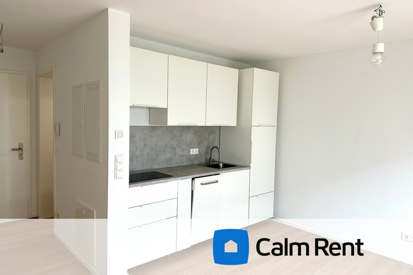 Wohnung zum Mieten in Nürnberg 550 € 26 m² 1 zimmer