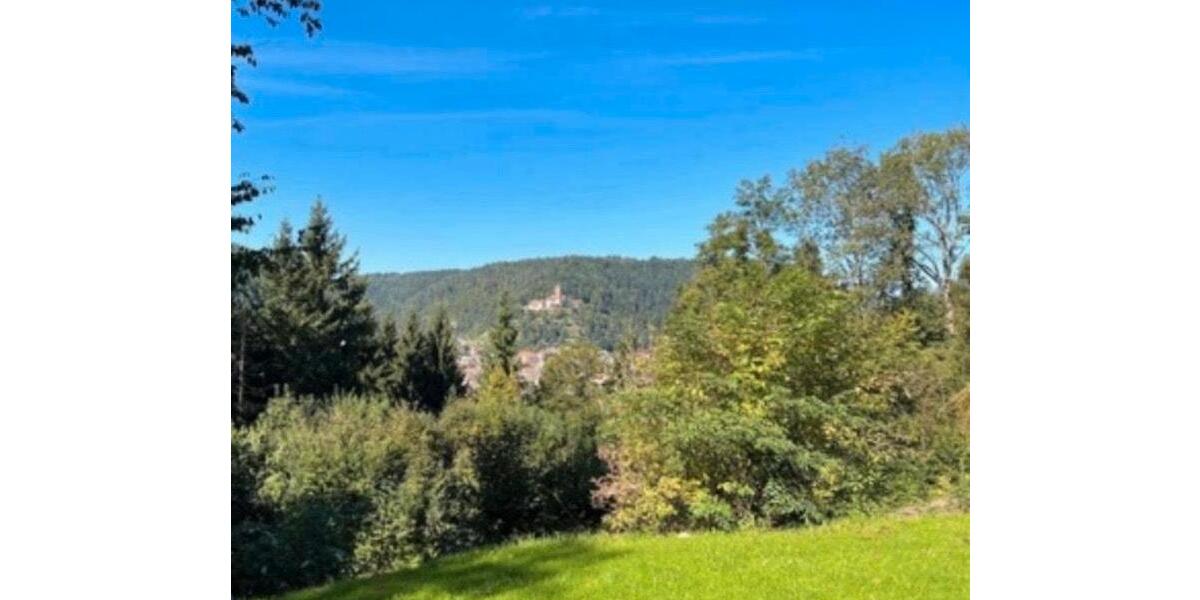 Erdgeschoßwohnung Bad Liebenzell - 1 Zimmer, 20 m&sup2;, 680&euro; | Angebot:24982604