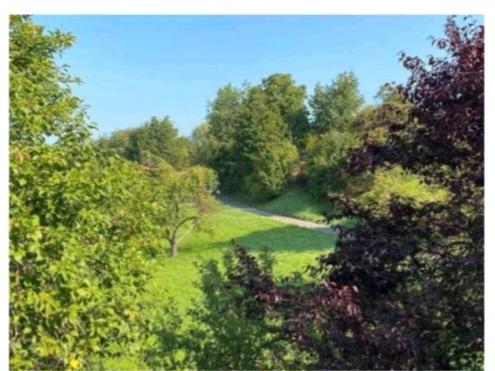 Doppelhaushälfte mit Garten Randlage MiedelsbachSchorndorf 6 zimmer