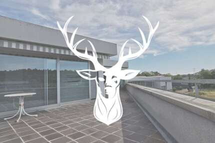 Wohnung zum Mieten in Waldshut-Tiengen 1.150 € 146 m² 4 zimmer