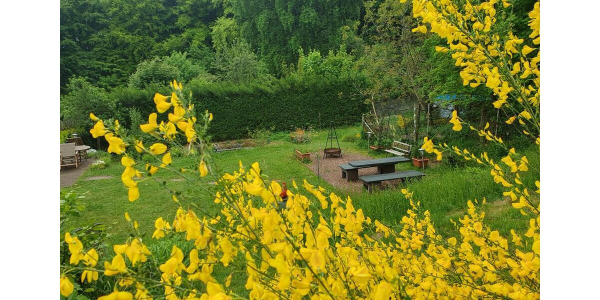 Wohnen auf Zeit Schmelz - 4 Zimmer, 130 m&sup2;, 550&euro; | Angebot:25832760