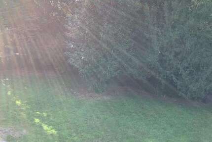 Wohnung zum Mieten in Recklinghausen 540 € 77.86 m² 3 zimmer