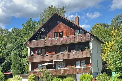 Helle 3,5-Zimmer-Wohnung mit zwei Balkonen – ab sofort frei 3.5 zimmer