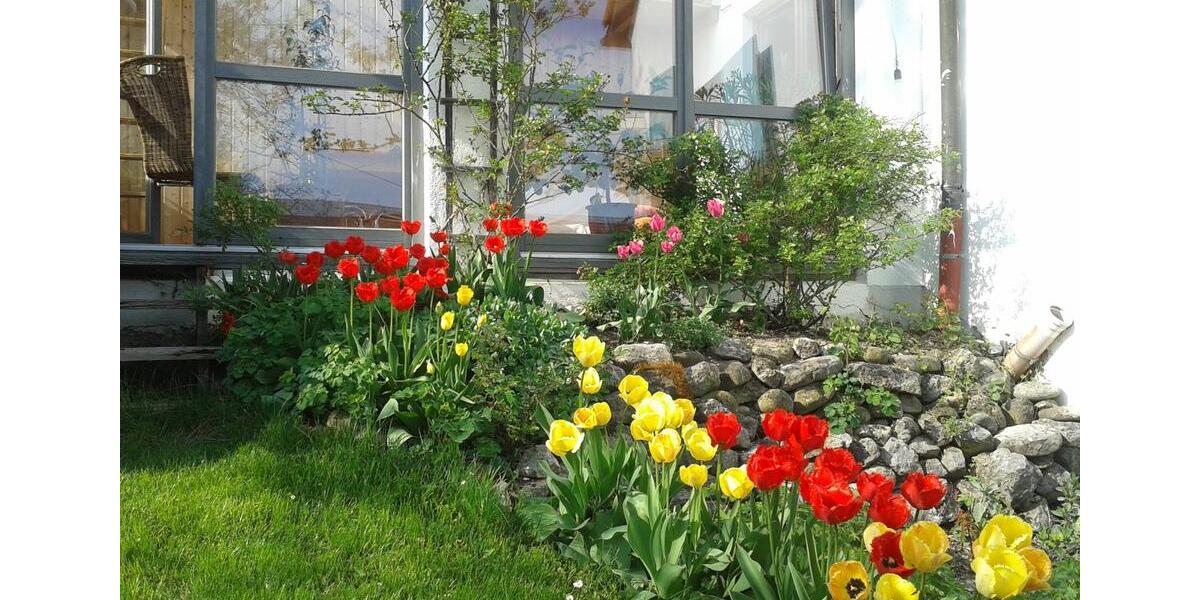 Wohnen auf Zeit Grafrath - 1 Zimmer, 30 m&sup2;, 590&euro; | Angebot:25660316