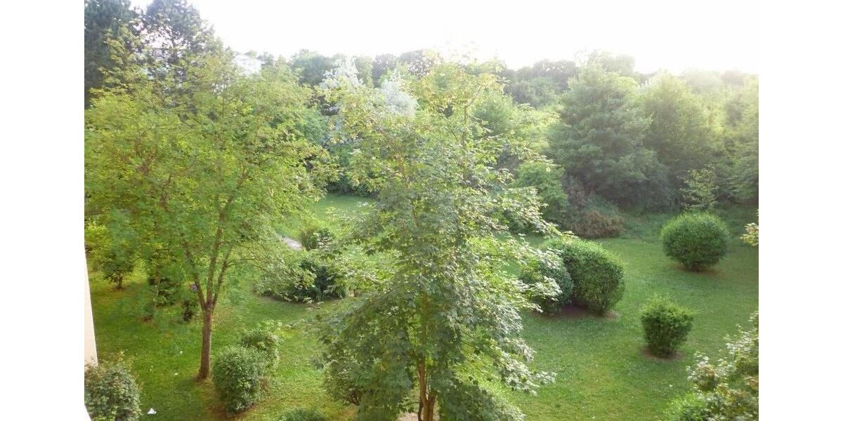 Etagenwohnung Wiesbaden Biebrich - 4 Zimmer, 30 m&sup2;, 485&euro; | Angebot:25877420