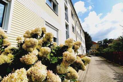 Wohnung zum Mieten in Lauchhammer 387 € 64.52 m² 3 zimmer