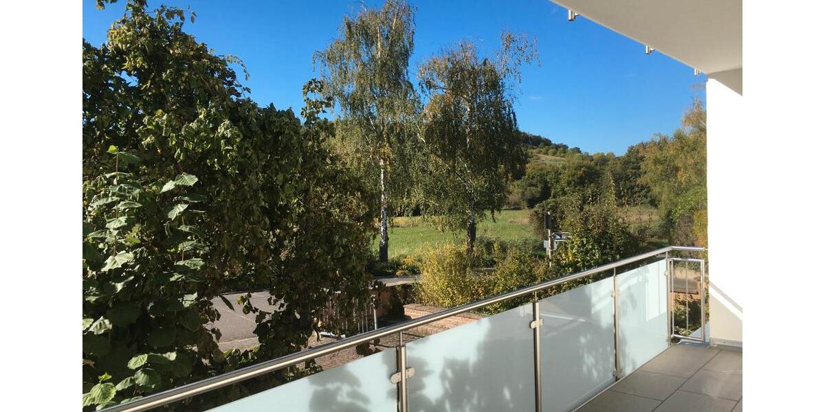 Erdgeschoßwohnung Ingelheim am Rhein - 4 Zimmer, 100 m&sup2;, 1.200&euro; | Angebot:26038590