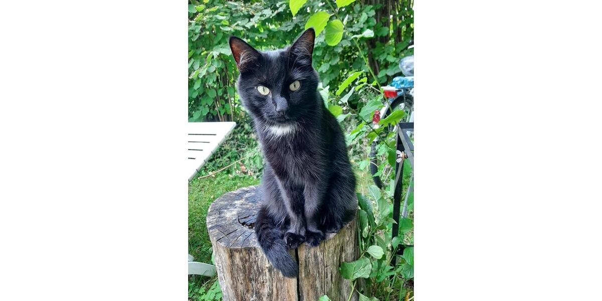 Wohnen auf Zeit Putzbrunn - 1 Zimmer, 12 m&sup2;, 600&euro; | Angebot:24811253