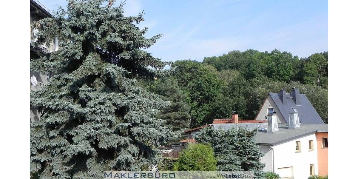 Etagenwohnung Greiz Irchwitz - 2 Zimmer, 61 m&sup2;, 320&euro; | Angebot:25674659