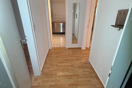 2 Zimmer Wohnung Penthouse Wuppertal Elb. ab sofort zu vermieten 2 zimmer