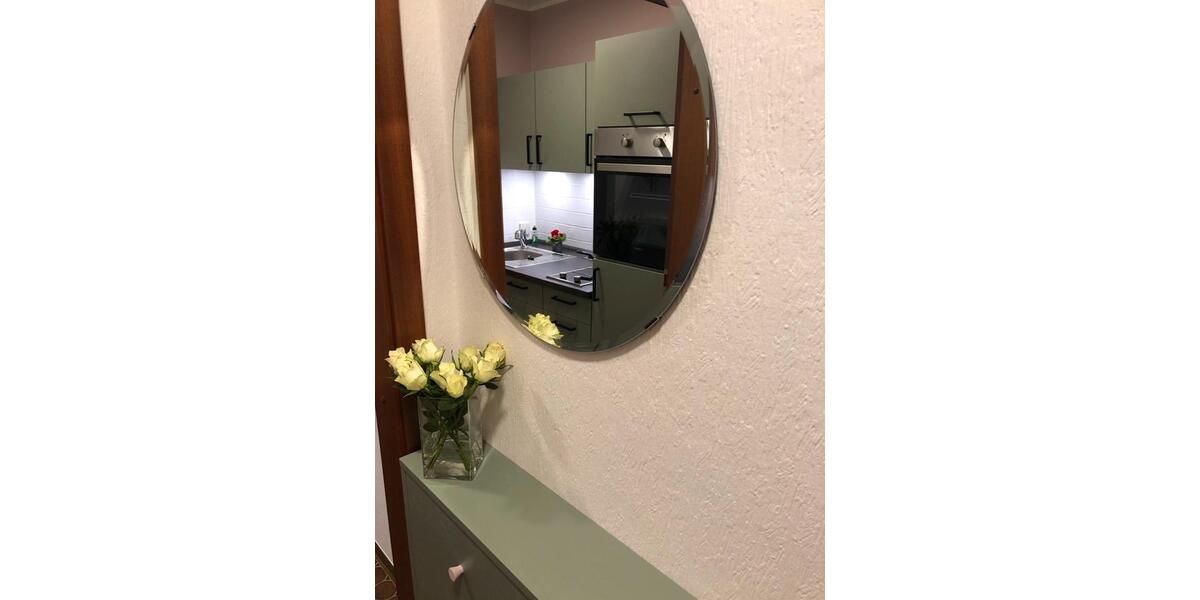 1 Zimmer Apartment Wohnung 1 zimmer