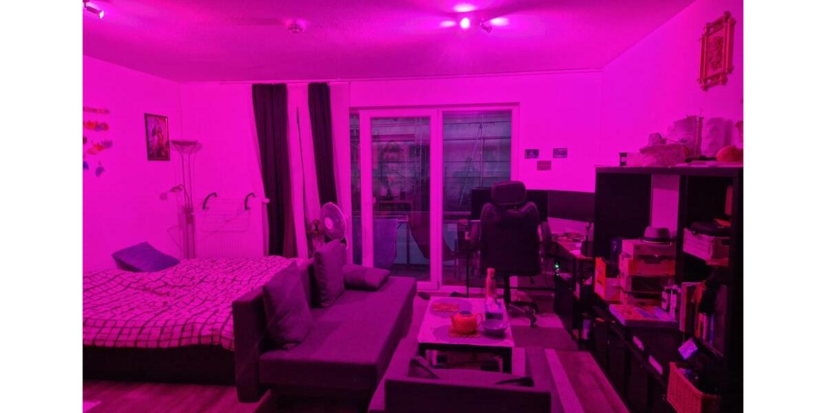 Erdgeschoßwohnung Ilmenau - 1 Zimmer, 30 m&sup2;, 290&euro; | Angebot:26594609