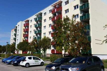 Wohnung Stralsund Grünhufe - 3 Zimmer, 66 m&sup2;, 390&euro; | Angebot:26180175