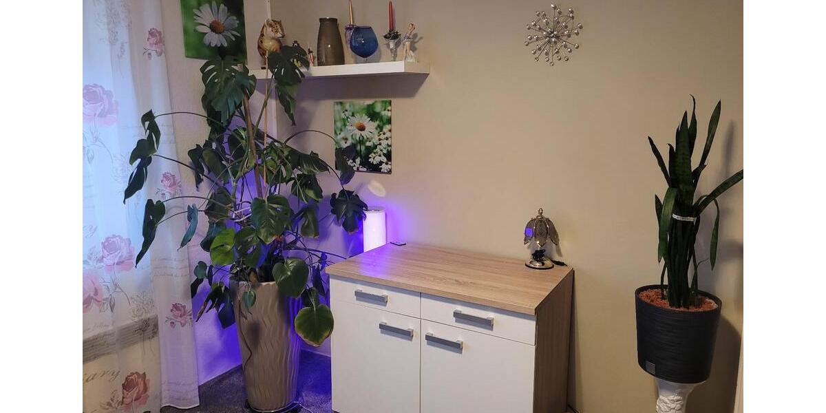 Erdgeschoßwohnung Hirschaid - 3 Zimmer, 72 m&sup2;, 620&euro; | Angebot:26653321