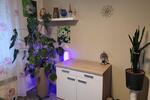 Erdgeschoßwohnung Hirschaid - 3 Zimmer, 72 m&sup2;, 620&euro; | Angebot:26653321