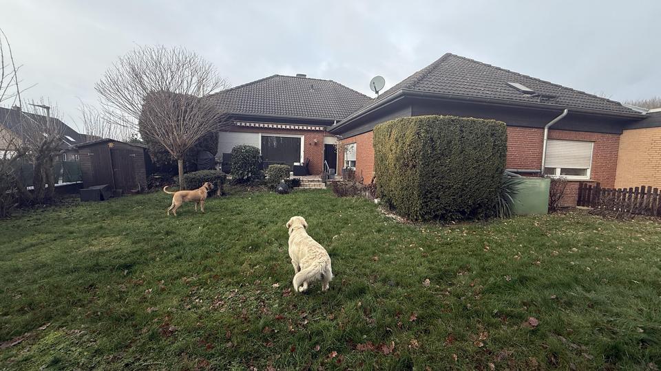 großzügiges familienfreundliches Einfamilienhaus mit Potenzial in Kerpen-Brüggen 6 zimmer