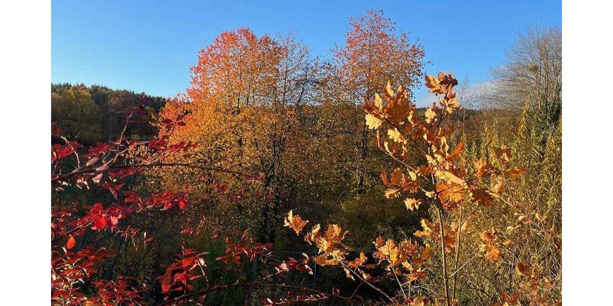 Terrassenwohnung Brombachtal Langenbrombach - 4 Zimmer, 127 m&sup2;, 1.290&euro; | Angebot:25804136